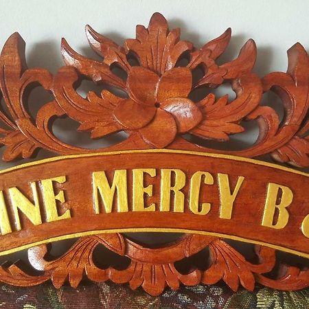 Divine Mercy B&B Нок Экстерьер фото