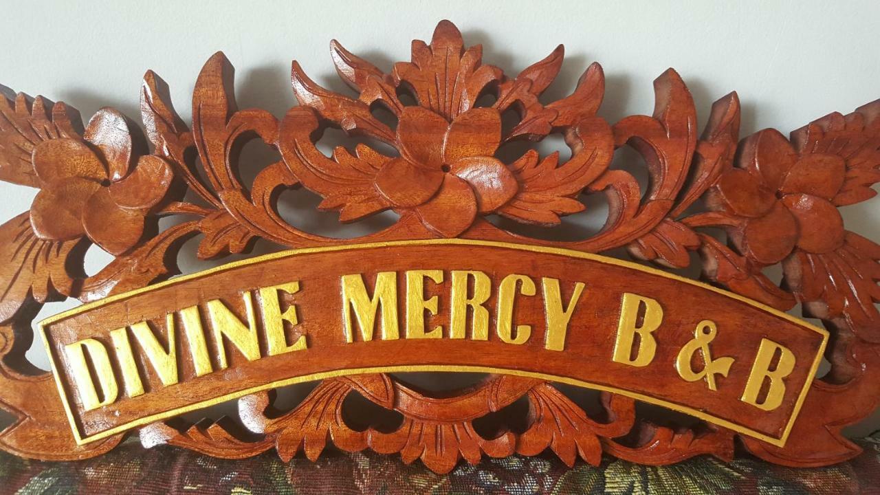 Divine Mercy B&B Нок Экстерьер фото